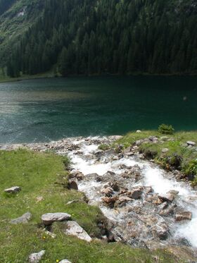 Riesachsee 12664 2006-06-25.jpg