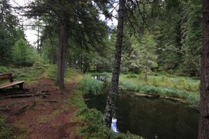 Salleitnerteich Oberhausberg 57586 2017-09-15.jpg