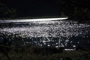 Schwarzensee 0747 2010-10-09.jpg