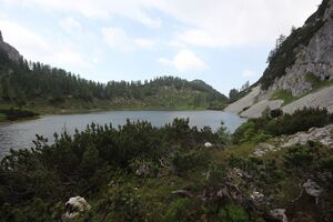 Schwarzensee tot-geb 51381 2017-06-24.jpg