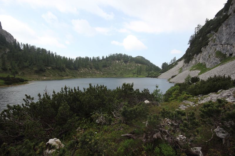 Datei:Schwarzensee tot-geb 51381 2017-06-24.jpg