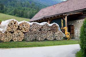 Vlg. jagerlenz-0673-2023-06-16.jpg