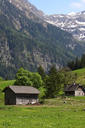 Angereralm-untertal 88736 2015-05-18.jpg