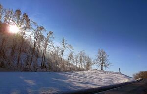 Buchauer sattel10003.JPG