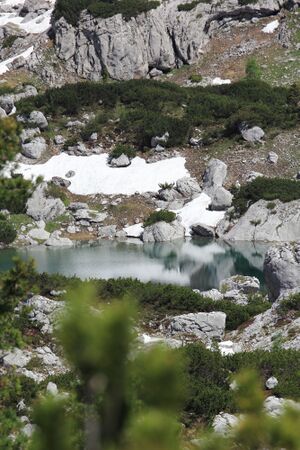 Dreibrüdersee 77401 2018-06-04.jpg