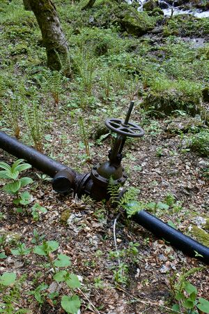 Höllboden hartelsgraben-0415-2021-06-05.jpg