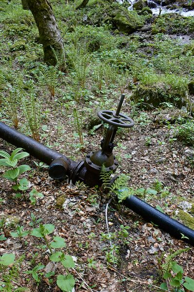 Datei:Höllboden hartelsgraben-0415-2021-06-05.jpg