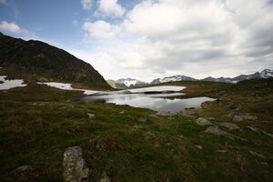 Hüttkarseen im Hüttkar 39319 2012-06-29.jpg