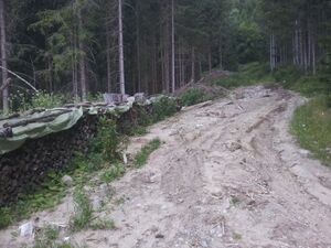 Holz 20130720 142008.jpg