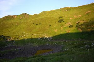 Krottenseen 1017 13-08-06.jpg