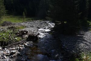 Neualmbach kleinsölk 72488 2014-09-17.jpg