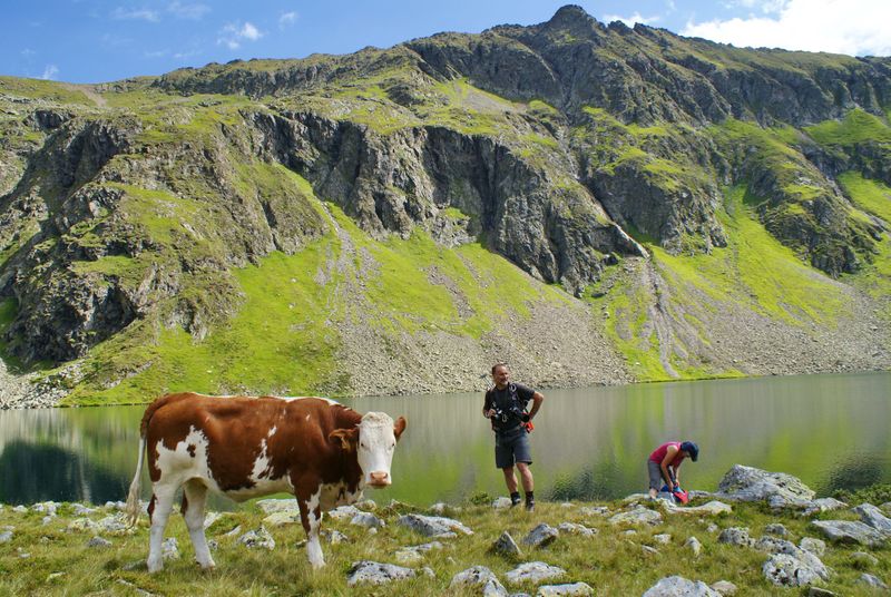 Datei:Oberer lanschitzsee 98062 2011-08-12.jpg