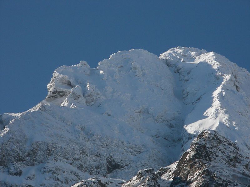 Datei:Pfeifer 47969 2007-01-26.jpg