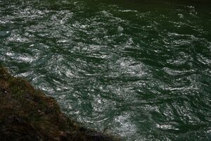 Salza palfau 70610 2018-04-23.jpg