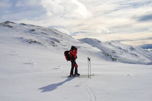 Salzofen 2493 2008-02-04.jpg