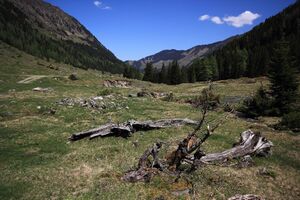 Sattental 45910 2017-05-19.jpg