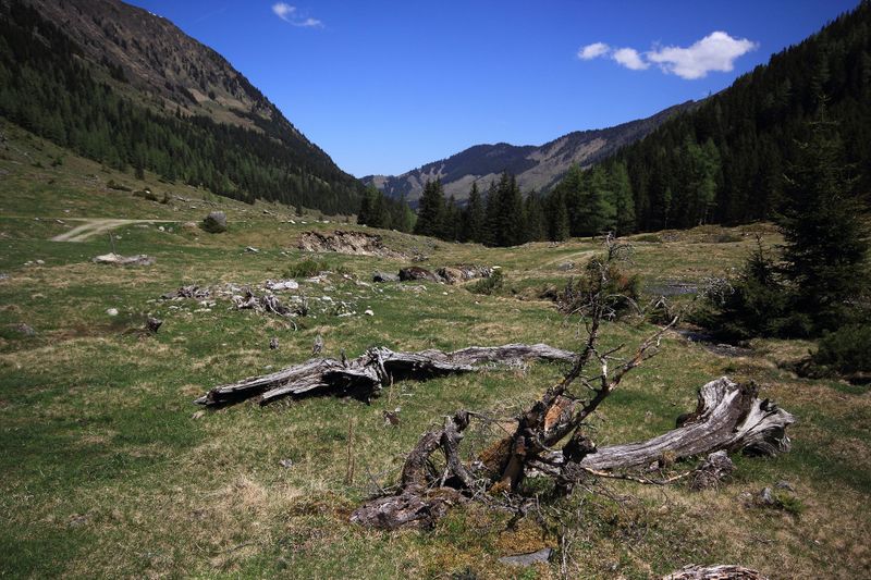 Datei:Sattental 45910 2017-05-19.jpg