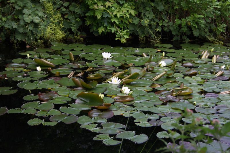 Datei:Schloss Thannegg0038.jpg