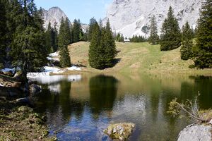 Sulzkarsee-0335-2021-06-05.jpg
