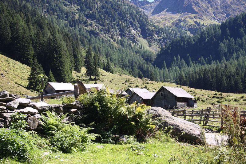 Datei:Tuchmoaralm 0179 13-09-05.jpg