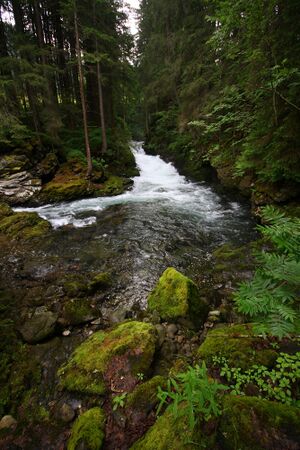Untertalbach 23535 2008-06-26.jpg