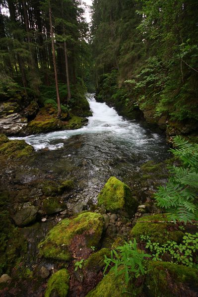 Datei:Untertalbach 23535 2008-06-26.jpg