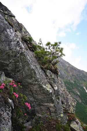 Wildkar 1929 2008-06-26.jpg