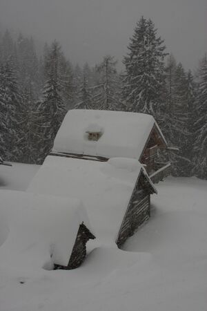 Adambauer gumpeneck 23403 2013-02-03.jpg