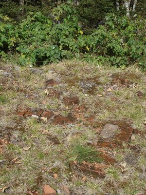 Detailansicht des Röststadels.jpg