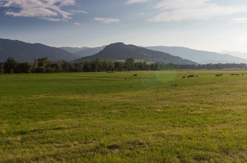 Datei:Drumlin Kulm 01.jpg