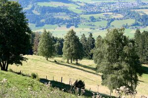 Grojerhof michaelerberg Ost-0166-2023-08-14.jpg