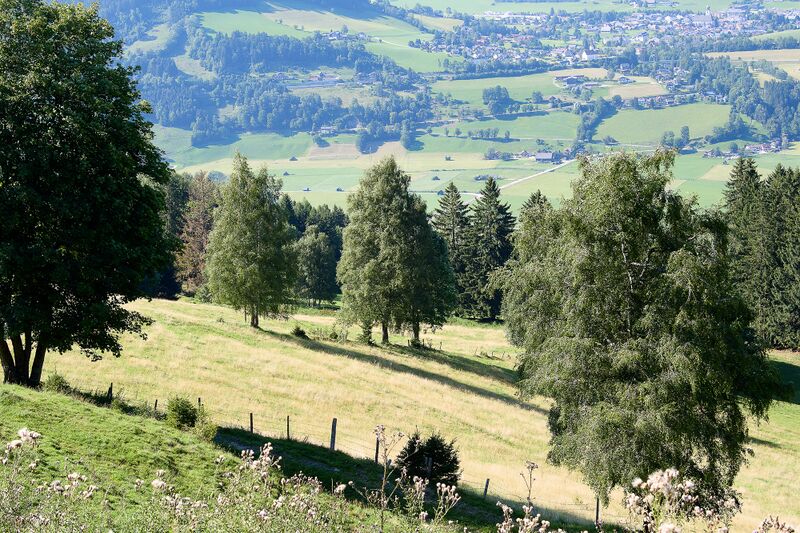 Datei:Grojerhof michaelerberg Ost-0166-2023-08-14.jpg