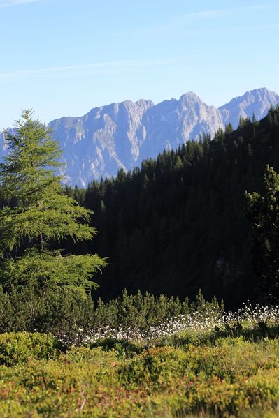 Datei:Gumpenkar 53216 2017-07-05.jpg