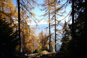 Hochknall 10909 2015-10-27.jpg