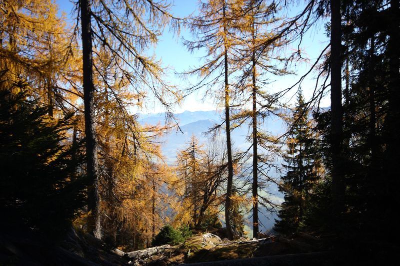 Datei:Hochknall 10909 2015-10-27.jpg