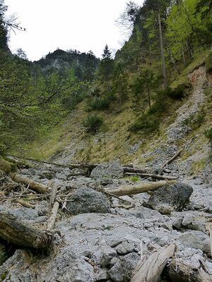 Humlechnergraben 54617 2014-04-27.JPG