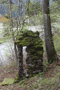 Kriegerdenkmal kumitzberg 47861 2017-05-04.jpg
