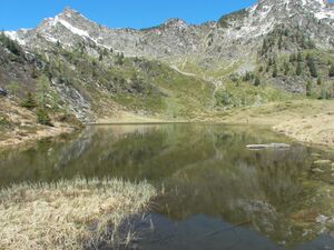 Schobersee 1380 2007-05-19.jpg