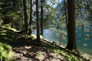 Schwarzensee kleinsölk 72566 2014-09-17.jpg