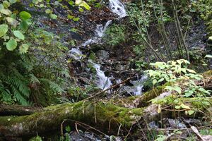 Teufelsschlucht Seewigtal 73318 2014-10-02.jpg