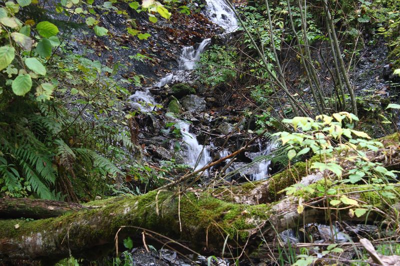 Datei:Teufelsschlucht Seewigtal 73318 2014-10-02.jpg