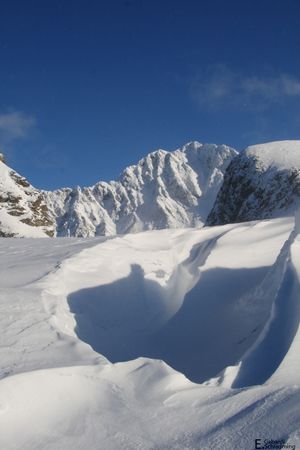 WaldhornIMG 6485.jpg