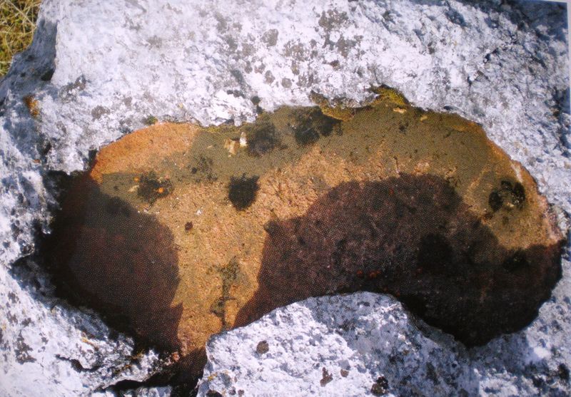 Datei:Wasserbecken 2.jpg