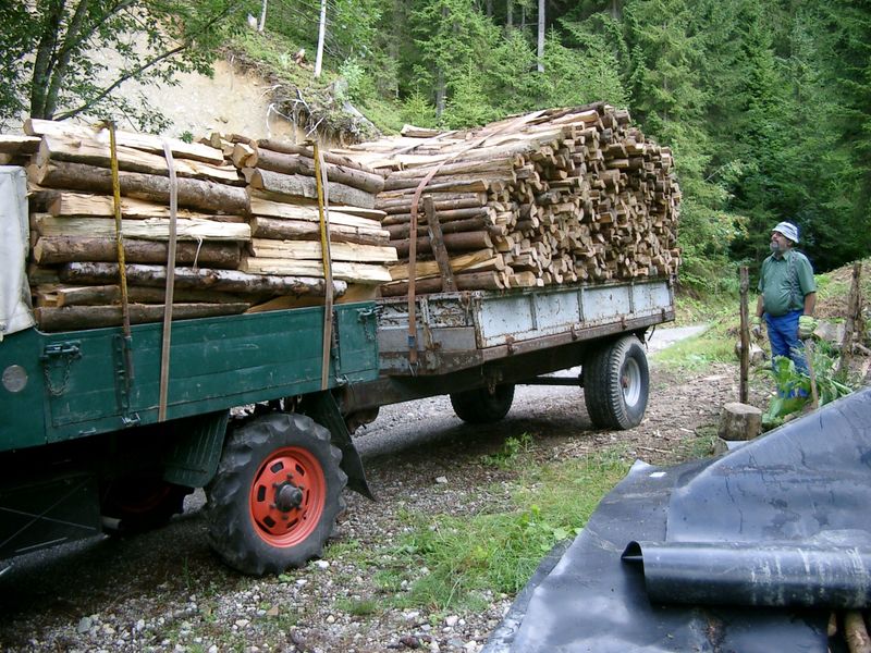 Datei:Windwurf10 aufgeladen.jpg