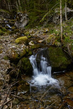 Wolfbauer wasserfallbach-400-2020-05-18-2.jpg
