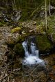 Wolfbauer wasserfallbach-400-2020-05-18-2.jpg