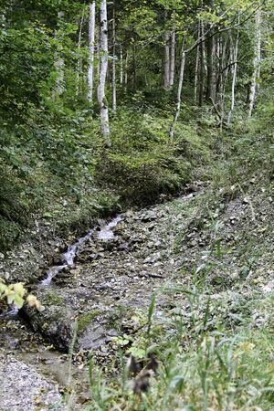 Wolfsbach vlg Melzner Ketten-0044-2023-10-10.jpg