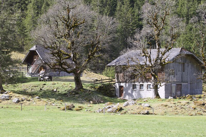 Datei:Angereralm untertal-0071-2024-04-07.jpg