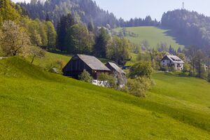 BH freisenbauer-1001-2022-05-10.jpg