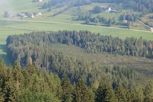 Die Auen-0098-2024-07-19.jpg